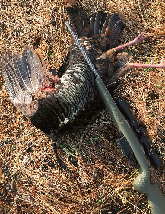 6.5 Creedmoor Turkey Shoot